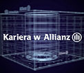 Kariera w Allianz